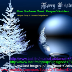 Unsigned Christmas