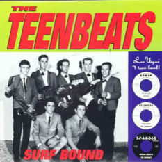 The Teenbeats