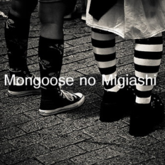 Mongoose no Migiashi